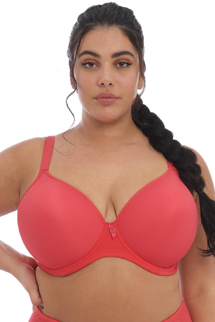 Elomi Bijou Banded Contour Bra EL8722 – My Top Drawer