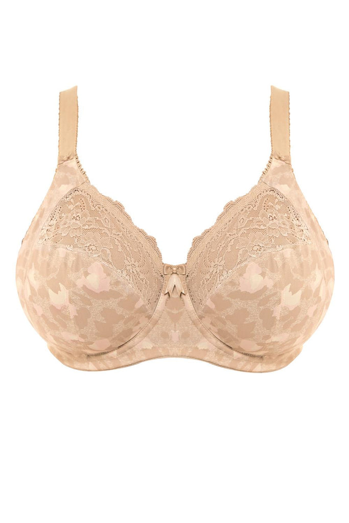 Elomi Morgan Banded Bra 4110 – My Top Drawer